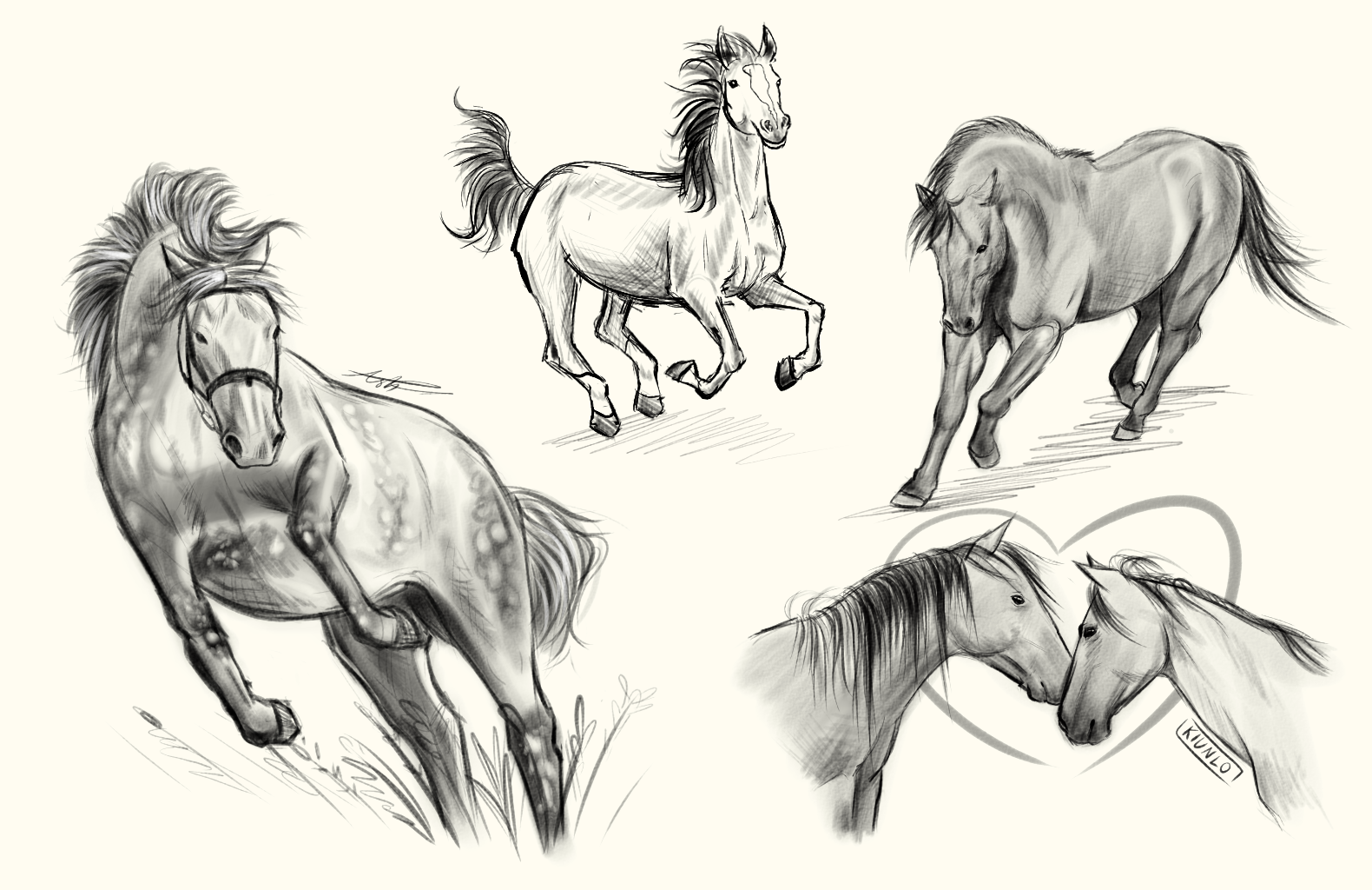 Horse Sketches